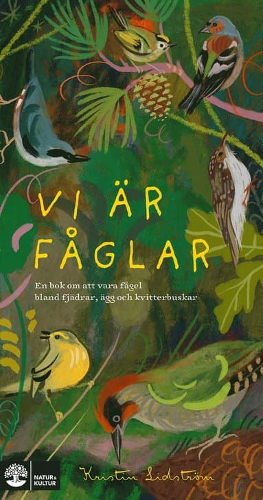 Vi är fåglar : en bok om att vara fågel bland fjädrar, ägg och kvitterbuskar