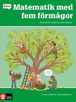 Input Matematik med fem förmågor