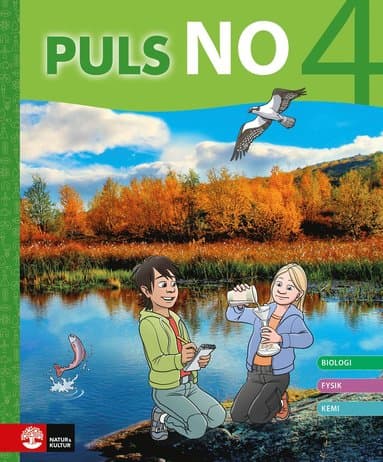 PULS NO åk 4 Grundbok
