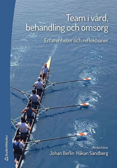Team i vård, behandling och omsorg - Erfarenheter och reflektioner