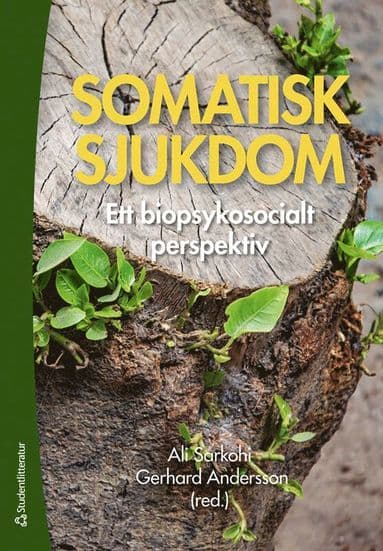 Somatisk sjukdom : ett biopsykosocialt perspektiv