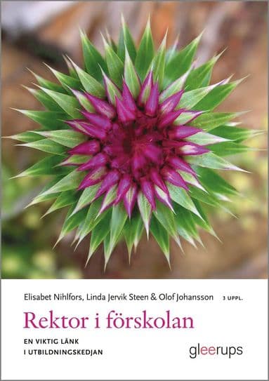 Rektor i förskolan : en viktig länk i utbildningskedjan