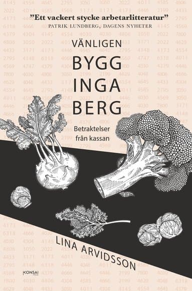 Vänligen bygg inga berg : betraktelser från kassan