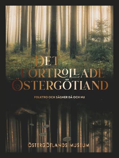 Det förtrollade Östergötland : folktro och sägner då och nu