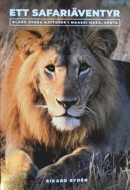 Ett safariäventyr, bland stora kattdjur i Maasai Mara, Kenya