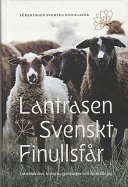 Lantrasen Svenskt Finullsfår