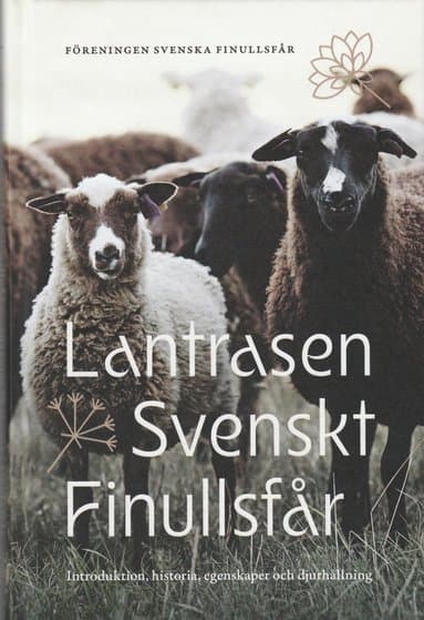 Lantrasen Svenskt Finullsfår