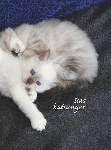 Isas kattungar