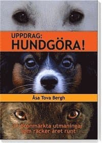 Uppdrag : hundgöra!