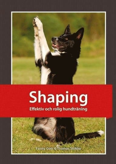 Shaping : effektiv och rolig hundträning