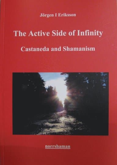 The active side of infinity : Castaneda and shamanism