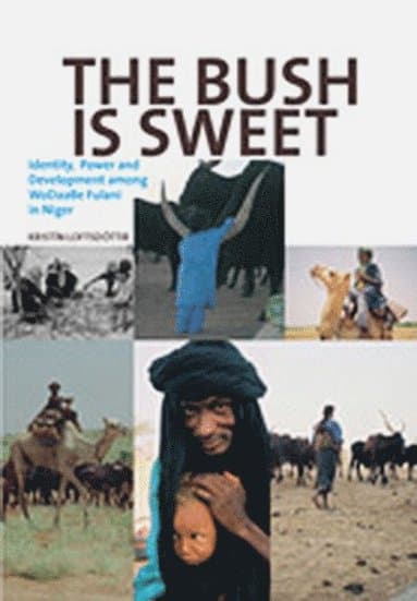 The Bush Is Sweet: Identity, Power and Development Among WoDaaBe Fulani in Niger
