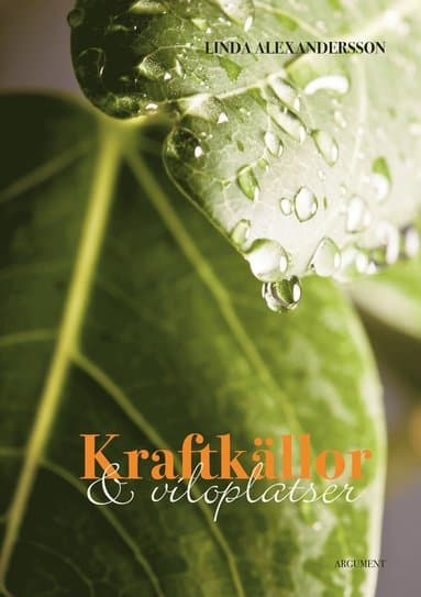 Kraftkällor och viloplatser