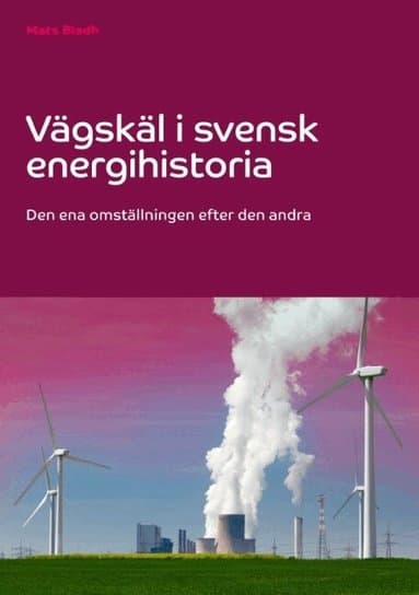 Vägskäl i svensk energihistoria : den ena omställningen efter den andra