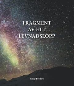 Fragment av ett levnadslopp