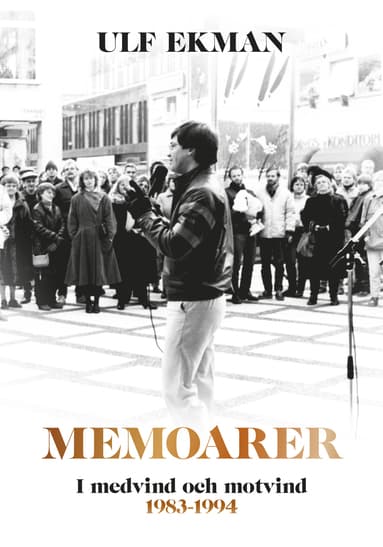 Memoarer : i medvind och motvind 1983-1994