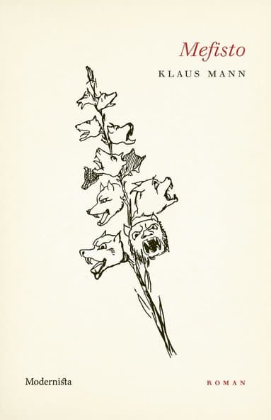 Klaus Mann best book