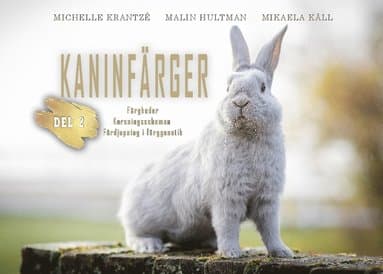 Kaninfärger. Del 2, Färgkoder, korsningsscheman, fördjupning i färggenetik