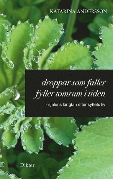 Droppar som faller fyller tomrum i tiden: - själens längtan efter syftets liv