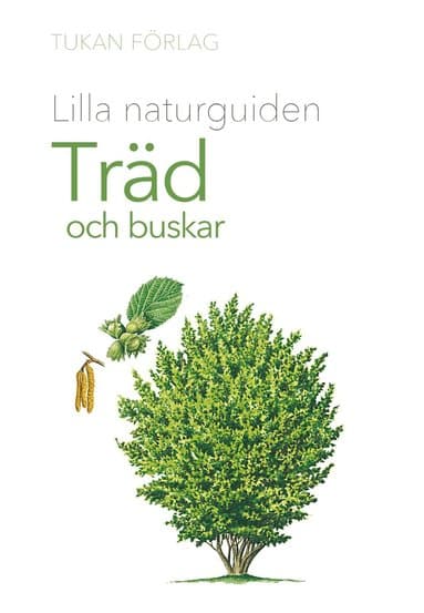 Lilla naturguiden : Träd och buskar