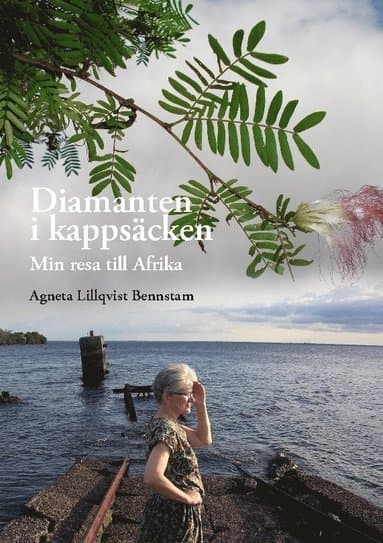 Diamanten i kappsäcken: Min resa till Afrika