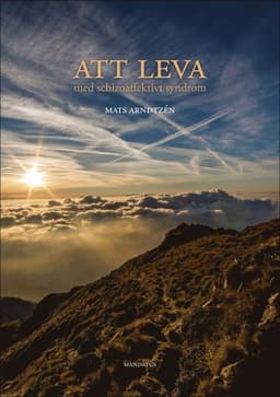 Att leva med schizoaffektivt syndrom