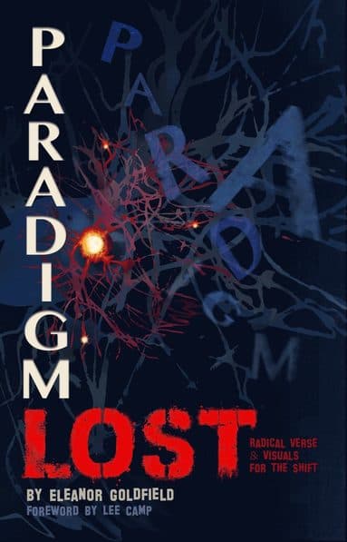 Omslag till boken A Paradigm LOST