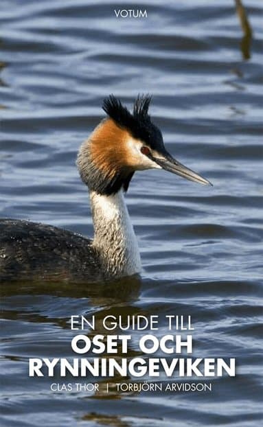 En guide till Oset och Rynningeviken
