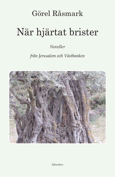 När hjärtat brister : noveller från Jerusalem och Västbanken