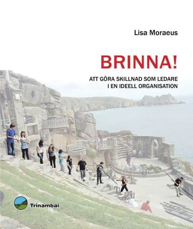 Brinna! : att göra skillnad som ledare i en ideell organisation