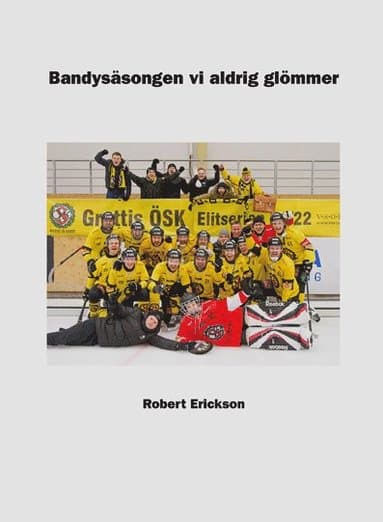 Bandysäsongen vi aldrig glömmer