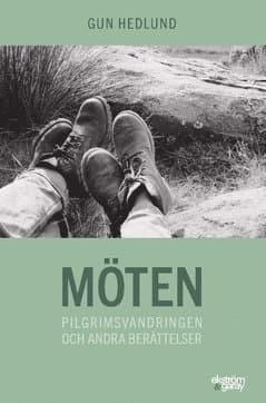 Möten : pilgrimsvandringen och andra berättelser
