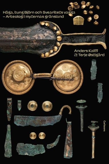 Håga, kung Björn och Svearikets vagga : arkeologi i myternas gränsland