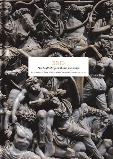 Krig : hur konflikter format våra samhällen