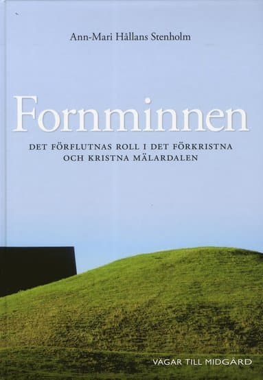 Ann-Mari Hållans Stenholm best book