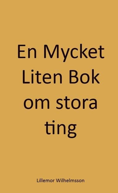 En mycket liten bok om stora ting