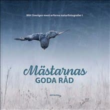 Mästarnas goda råd