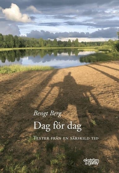 Dag för dag : texter från en särskild tid