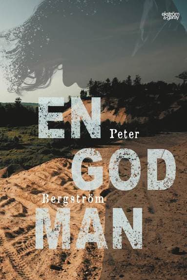 Peter Bergström best book