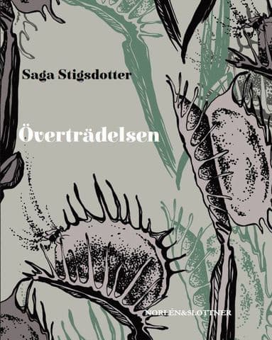 Saga Stigsdotter best book