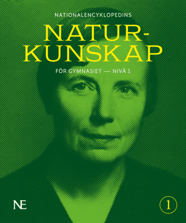 NE Naturkunskap för gymnasiet : nivå 1