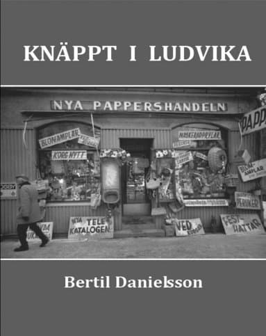 Knäppt i Ludvika
