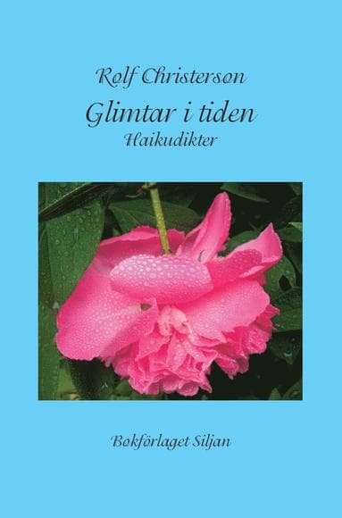 Glimtar i tiden : haikudikter