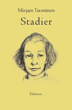 Stadier : essäer och översikter