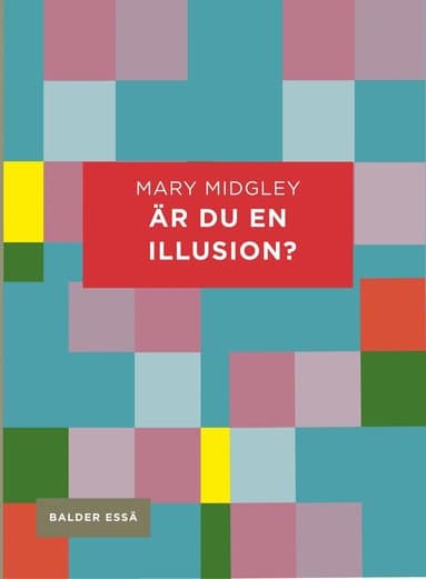 Är du en illusion?