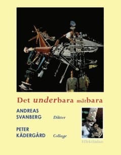 Det underbara mätbara : dikter