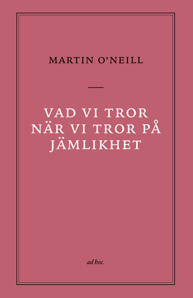 Vad vi tror när vi tror på jämlikhet