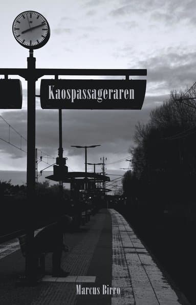 Marcus Birro best book