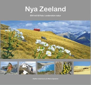 Nya Zeeland : 804 mil till fots i underskön natur