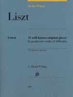 At the Piano - Liszt